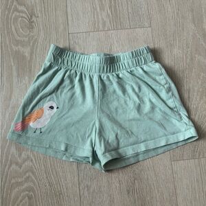 Mint Green little girl Shorts with Bird Design